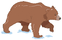 Brown Bear Sticker by Alaska Seafood
