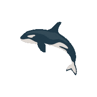 Orca Sticker by Kyte Baby