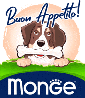 Pet Cane GIF by Mongepet