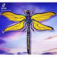maadmurray animation illustration dragon motiongraphics GIF