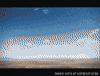 man exploding GIF