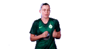 champions league dancing Sticker by VfL Wolfsburg