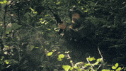 boom shooting GIF by Red Fang