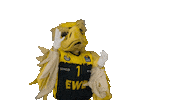 Ewe Baskets Basketball Sticker by EWE Baskets Oldenburg