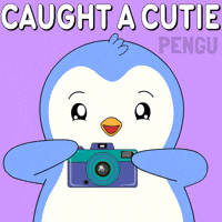 Penguin Smile GIF by Pudgy Penguins