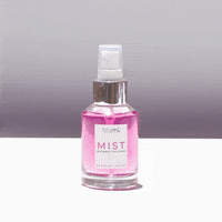 GIF by Teami Blends