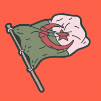 Algeria GIF by LASFAR