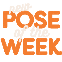 Hotyoga Newpose Sticker by Dfly