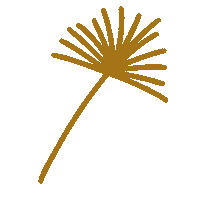 elimartinez-studio nature plant palm planta Sticker