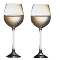 Champagne Bachelorette Party Sticker