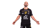 Celebration Handball Sticker by Team Chambé