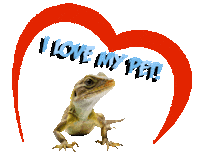 Guinea Pig Love Sticker