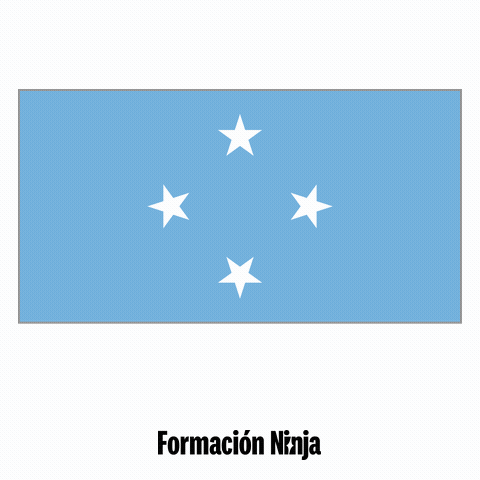Federated States Of Micronesia Flag GIF by Formación Ninja