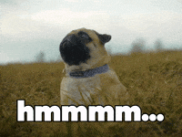 Confused Let Me Think GIF by Sealed With A GIF