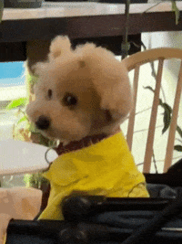 namu_______ 나무 namu GIF