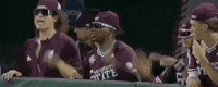 College World Series Baseball GIF by NCAA Championships