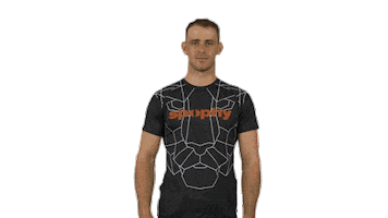 Slalom Sticker by Rehasport