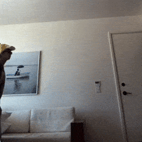 Dance Celebrate GIF