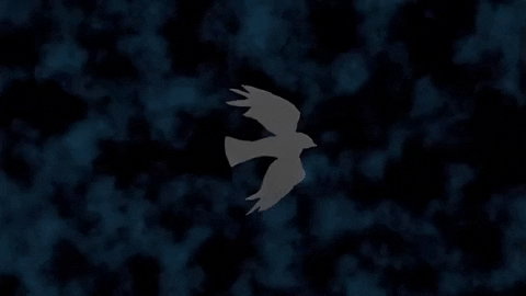 Flying British Invasion GIF by The Zombies  Find  Share on GIPHY