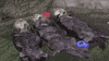 marinemammalrescue friends floating buddies otters GIF