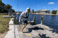 Yes Excited GIF