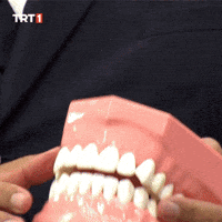 Lips Kiss GIF by TRT