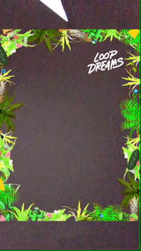 framebeta GIF
