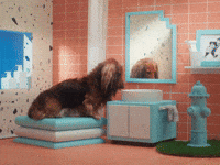 Dog Eat Dog World