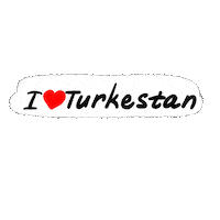 Gauhartas_s 13 kazakhstan qazaqstan turkistan Sticker