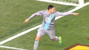 Major League Soccer Football GIF by MNUFC