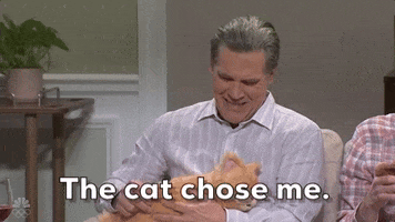 Snl Cat Dad GIF by Saturday Night Live