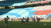 Dragon Ball Football GIF by RB Leipzig