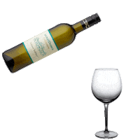 Fun Cheers Sticker by Weinkellerei Lenz Moser