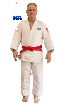 Grappling Martial Arts Sticker by NA Effective Fighting