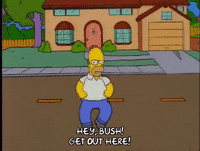 homer simpson episode 13 GIF