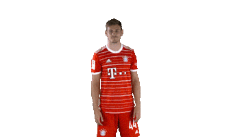 Football Sport Sticker by FC Bayern Munich