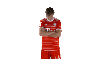 Look Up Sticker by FC Bayern Munich