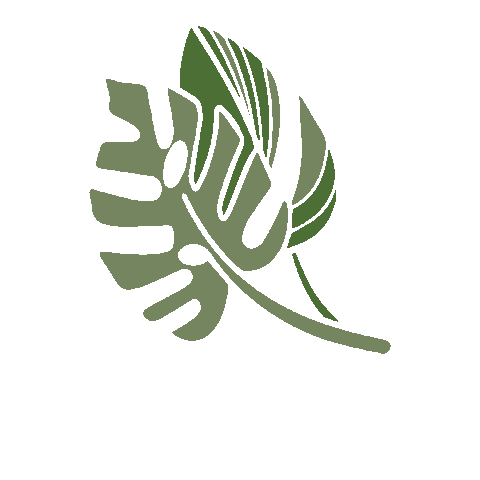 xojacksonrowe giphygifmaker leaf leaves tropical Sticker