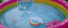 Summer Fall GIF by Aaron Taos