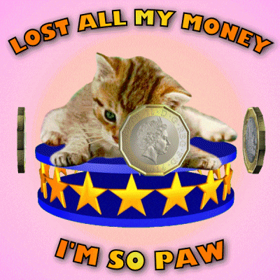 Im Broke GIF