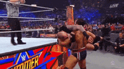 wwe sports wwe wrestling summerslam GIF
