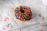 betterfromscratch donuts lebanon doughnuts xndoughs GIF