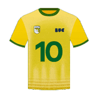 brazilianunited busa buc camisa10 brazilianunited Sticker