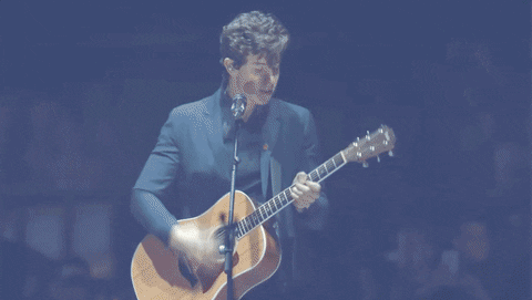 shawn mendes mtv emas GIF by 2017 MTV EMA