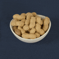 Deez Nuts