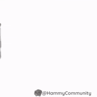 Coin Peek GIF by Sad Hamster