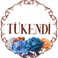 Pride And Prejudice Sticker by BKM Online