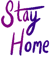 Stay Home Public Health Sticker