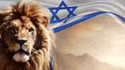 Israel Flag GIF