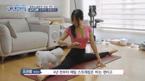 JUNGBONGJUN giphyupload GIF